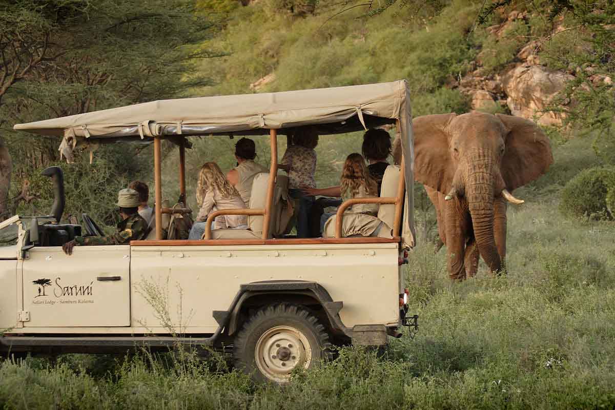 Elephant game viewing with Saruni Samburu Lodge.